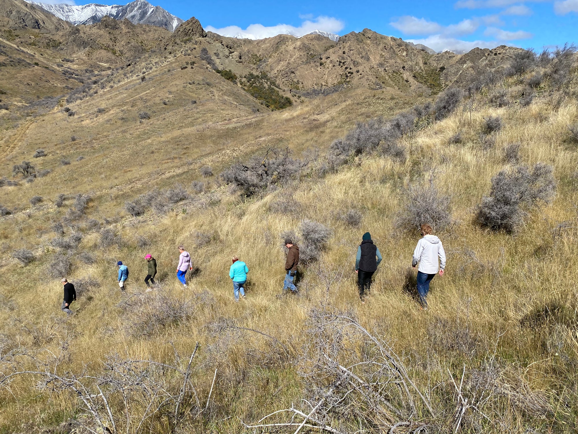 A Premium Culinary Escape at Middlehurst Station