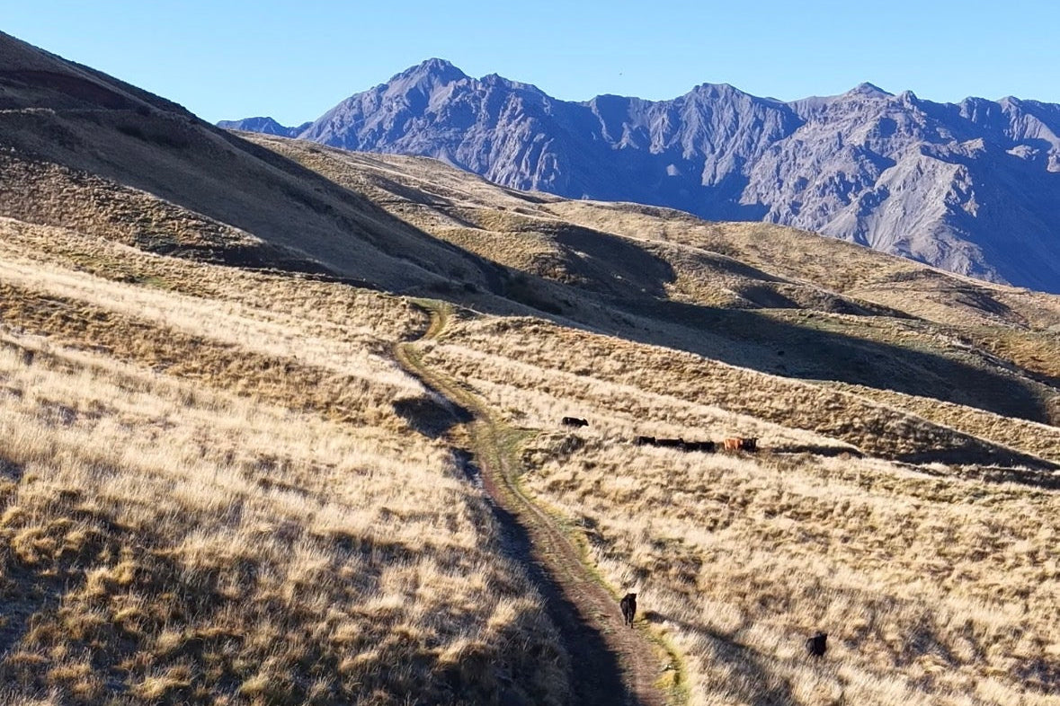 A Premium Culinary Escape at Middlehurst Station