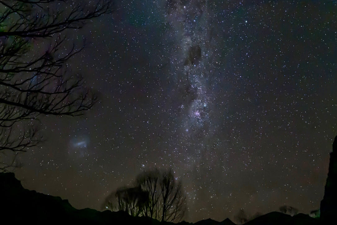 A Premium Culinary Escape at Middlehurst Station